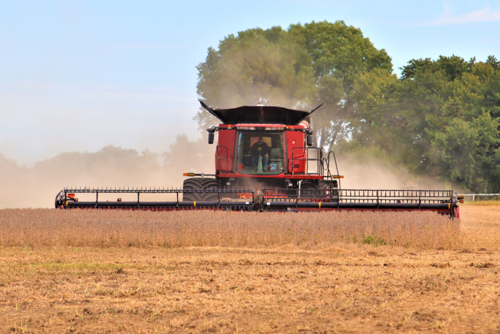 Total Seed Production – Experience excellence in seed production